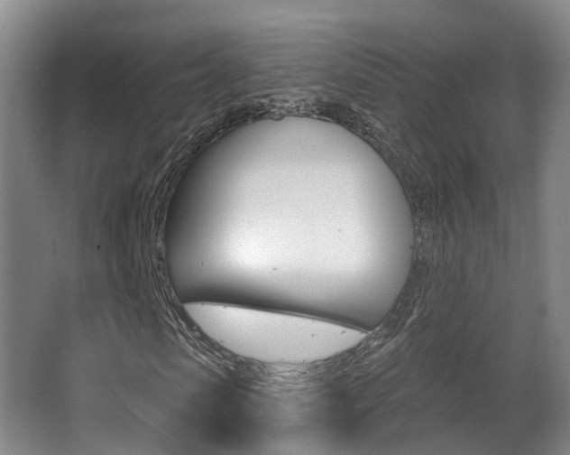 X0000062860913200601130943