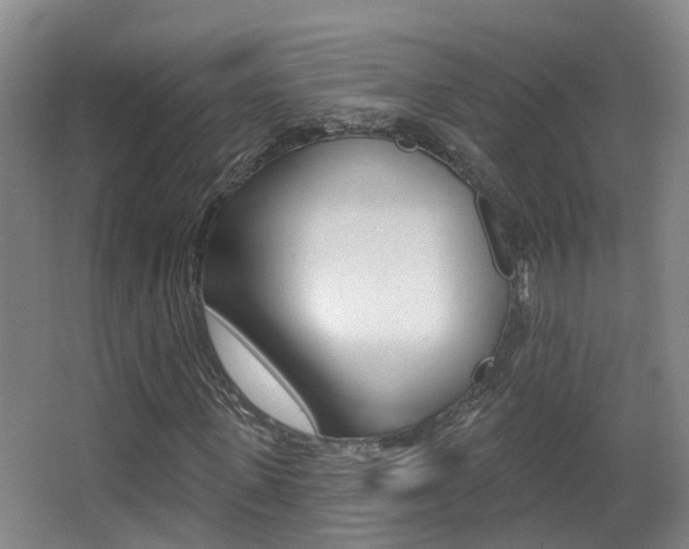 X0000062860915200601130943