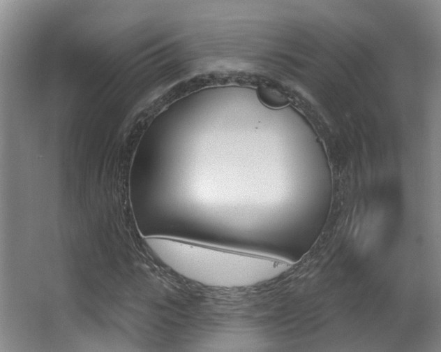 X0000062860919200601130943