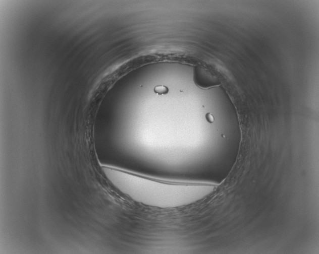X0000062860920200601130943