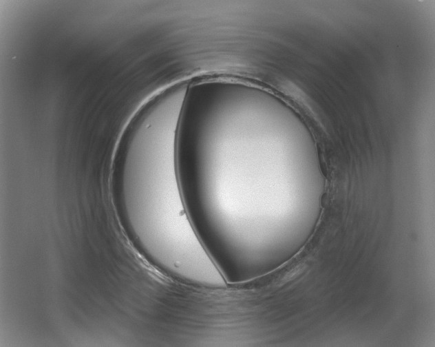 X0000062860924200601130944