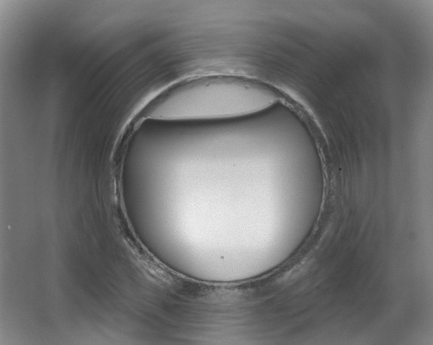 X0000062860925200601130944