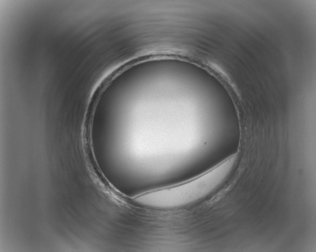X0000062860928200601130944