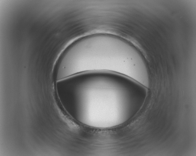 X0000062860934200601130944