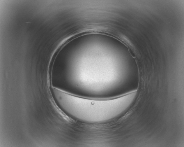 X0000062860940200601130944