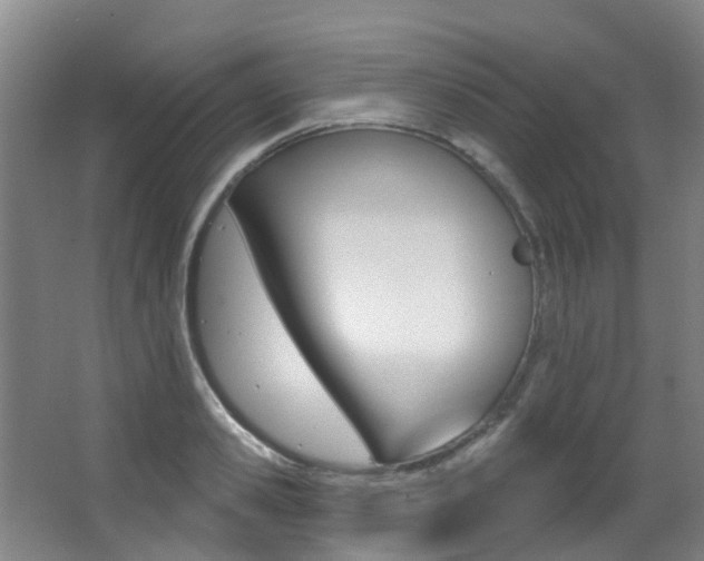 X0000062860941200601130944