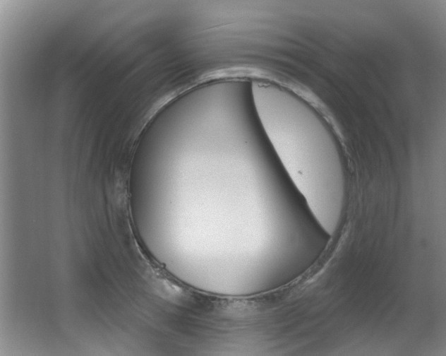 X0000062860945200601130944