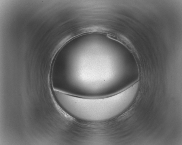 X0000062860946200601130944