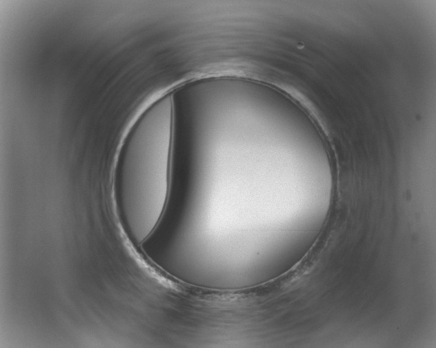 X0000062860949200601130944