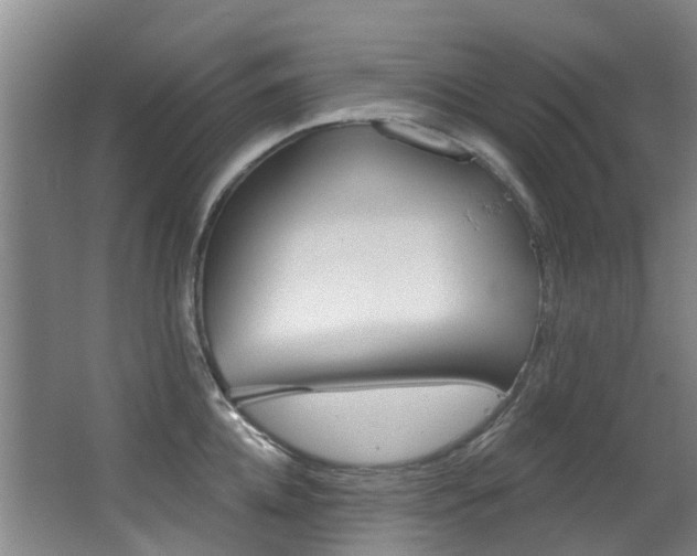 X0000062860952200601130944