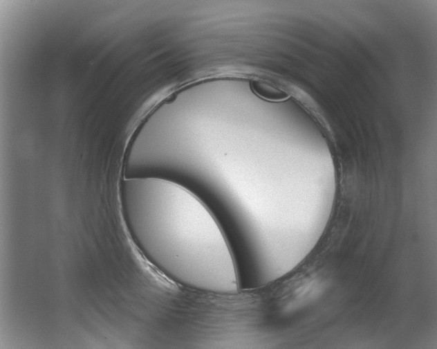 X0000062860954200601130944
