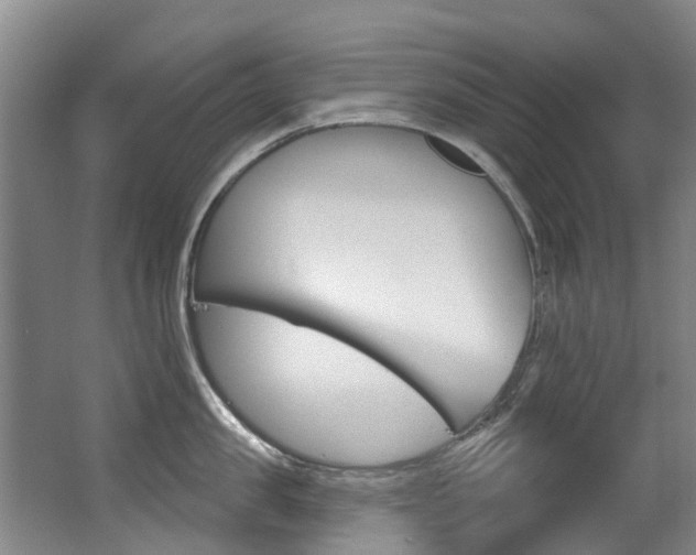 X0000062860957200601130944