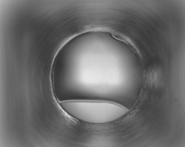 X0000062860959200601130944