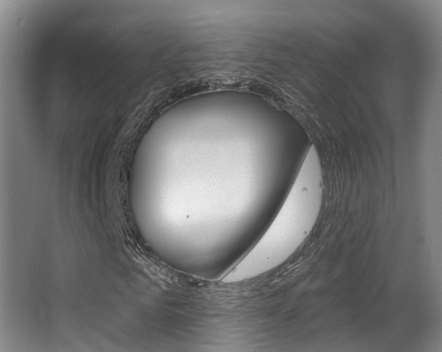 X0000062860961200601130943