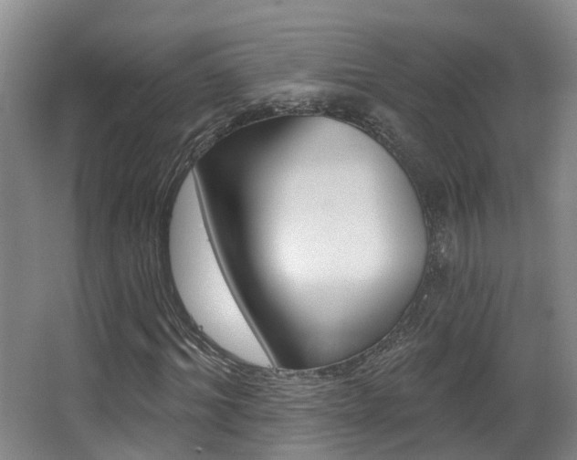 X0000062860964200601130943