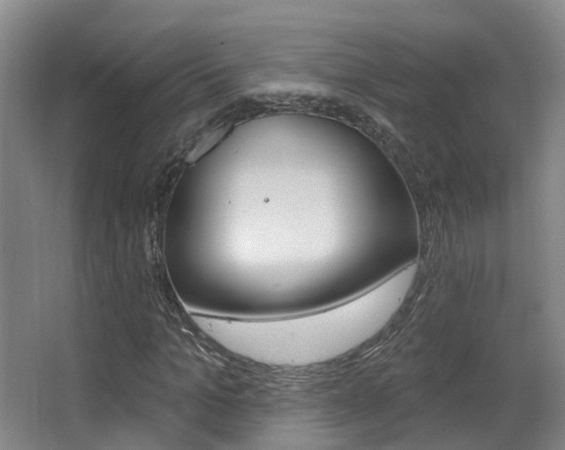 X0000062860965200601130943