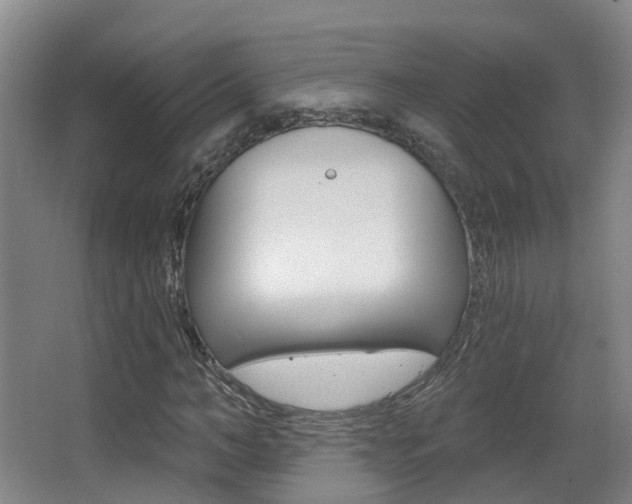 X0000062860966200601130943