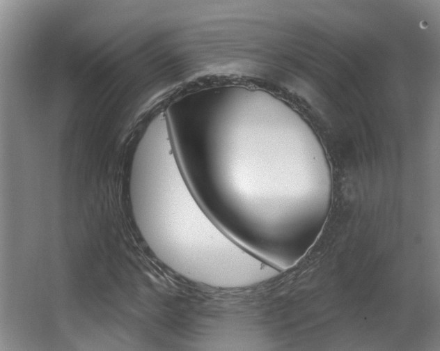 X0000062860968200601130943