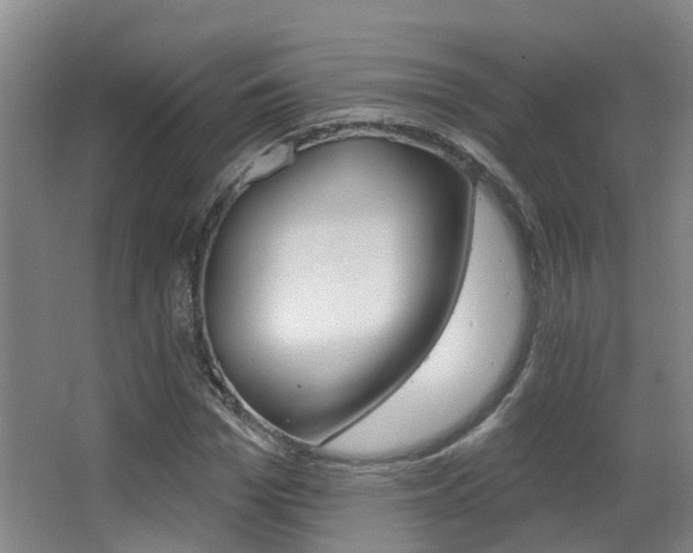 X0000062860969200601130943