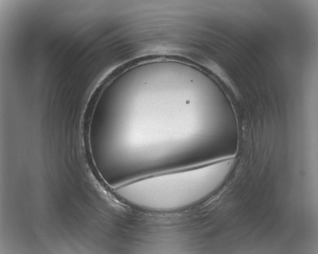 X0000062860972200601130943