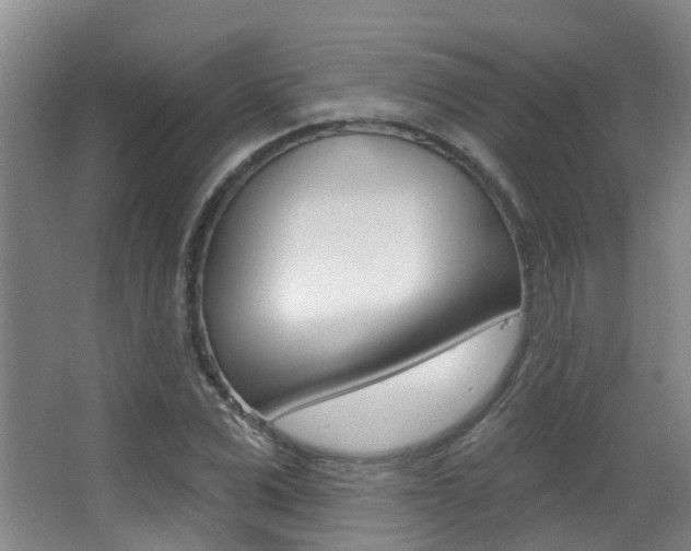 X0000062860975200601130943