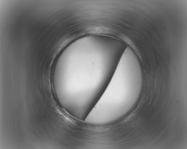 X0000062860986200601130943