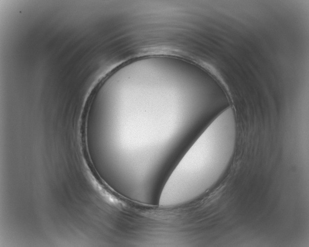 X0000062860995200601130943