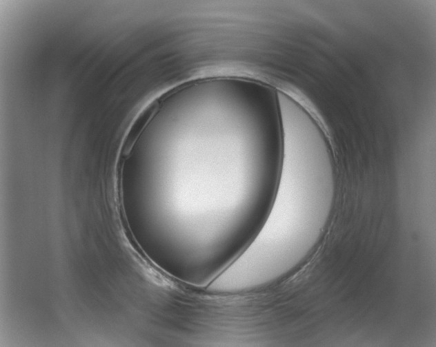 X0000062860996200601130943