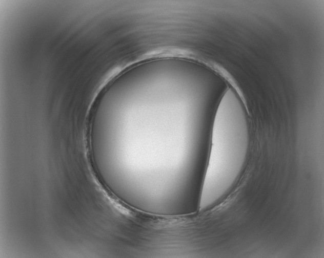 X0000062860997200601130943
