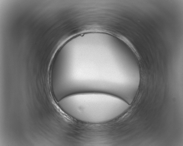 X0000062861004200601130943