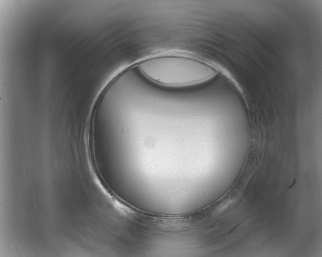 X0000062861007200601130943