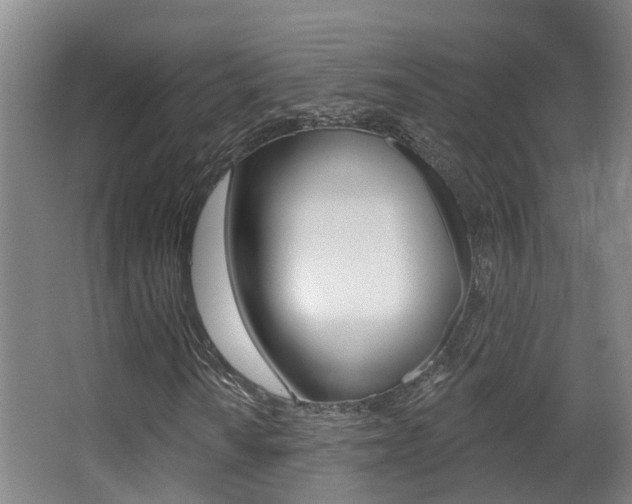 X0000062861010200601130942