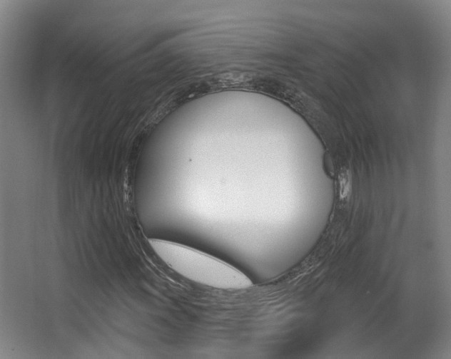 X0000062861011200601130942