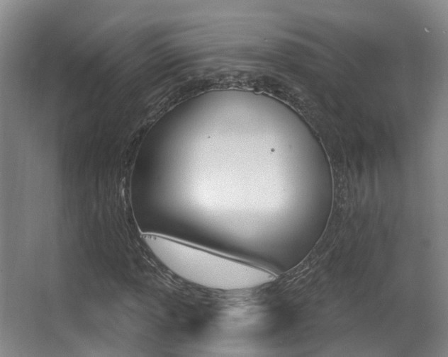 X0000062861013200601130942
