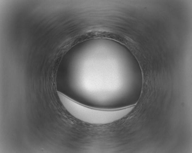 X0000062861014200601130942