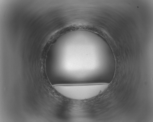X0000062861016200601130942