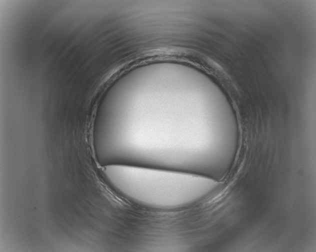 X0000062861017200601130942