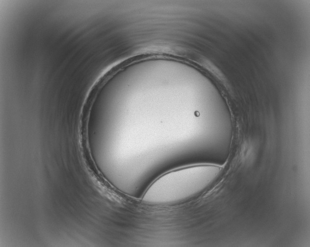 X0000062861020200601130942