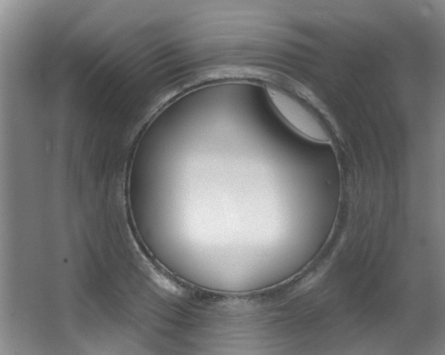X0000062861033200601130942