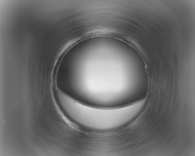 X0000062861034200601130942
