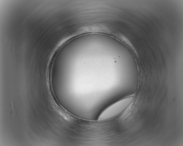 X0000062861035200601130942