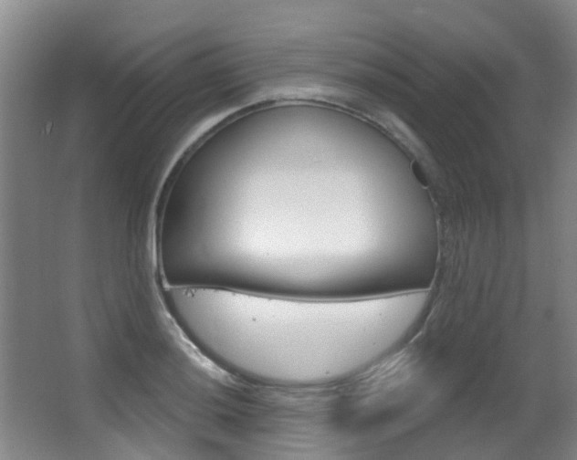 X0000062861036200601130942