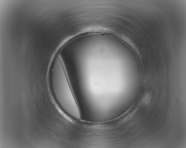 X0000062861037200601130942
