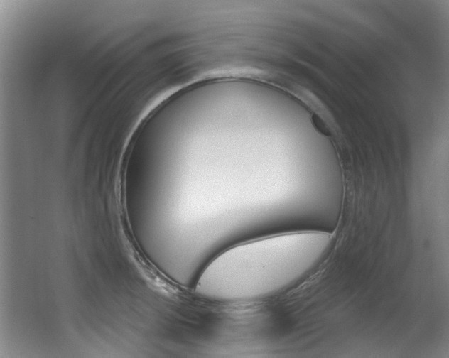X0000062861044200601130942