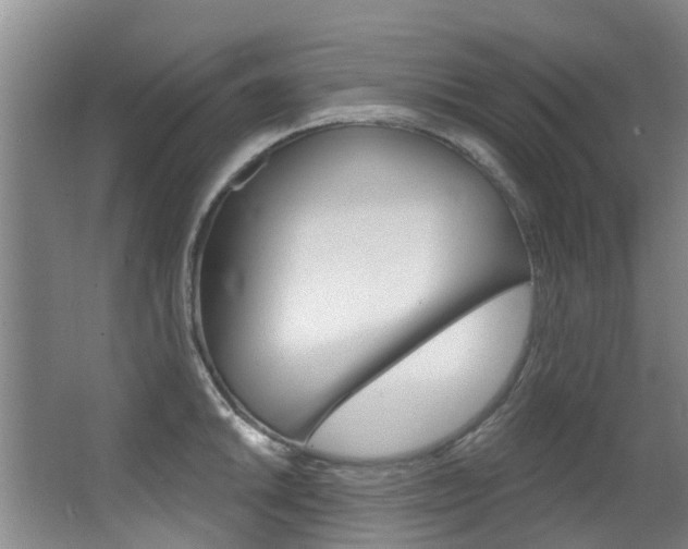 X0000062861046200601130942