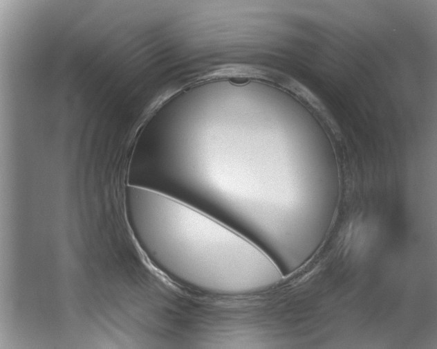 X0000062861049200601130942