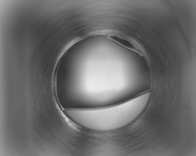 X0000062861050200601130942
