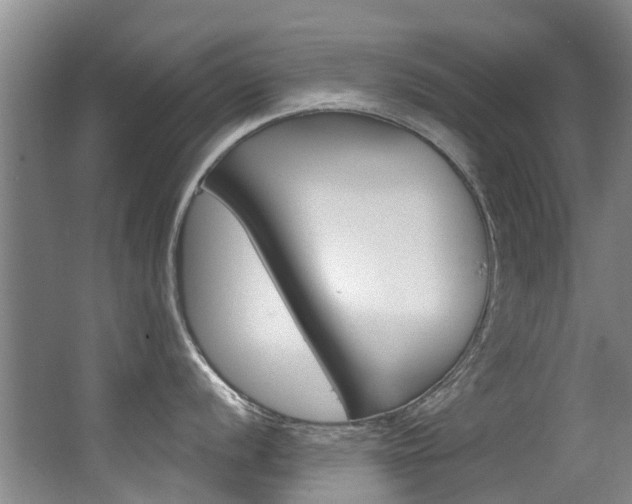 X0000062861056200601130942