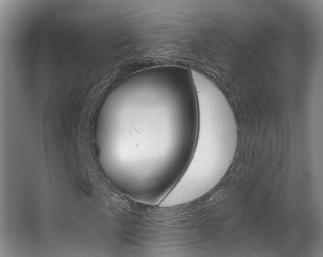 X0000062861057200601130942
