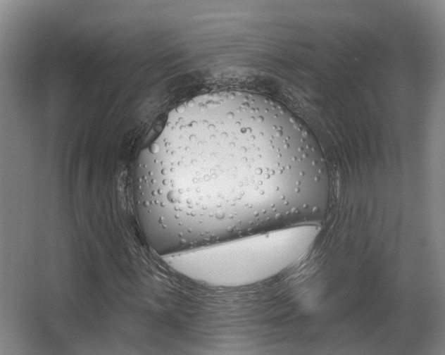 X0000062861059200601130942